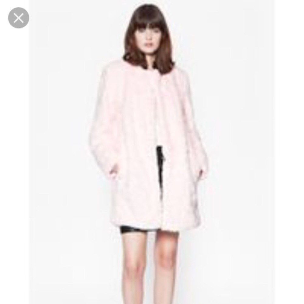 French Connection Pink Teddy